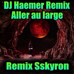 DJ Haemer Remix - Aller au large by Sskyron(2020)