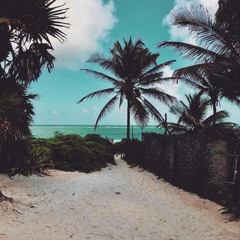 Dreams of Tulum