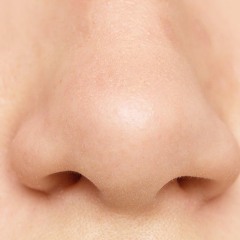 SSIO - Nuttööö (Alternative Version)