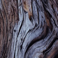 The Gravity of a Moment