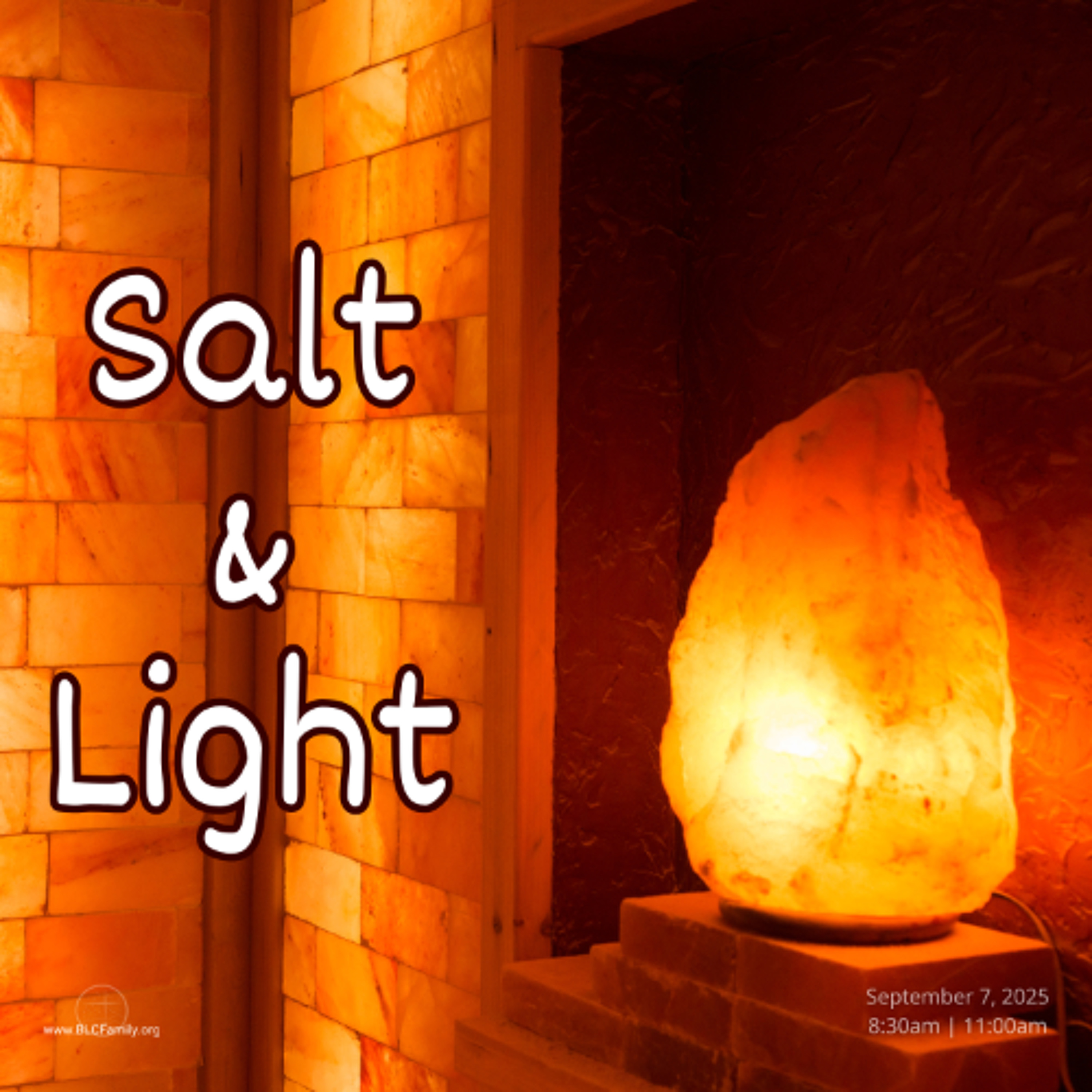 Salt & Light
