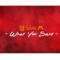 DJ Silviu M - What You Said