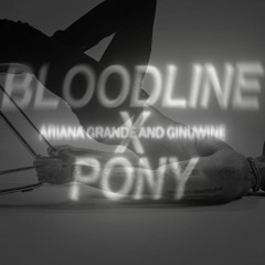 BLOODLINE X PONY