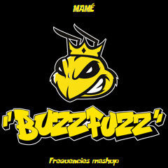 BuzzFuzz (Frequencies mashup)