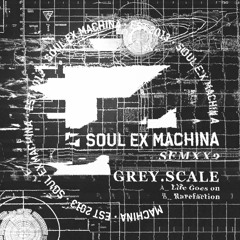 Grey.scale - Life Goes On [Soul Ex Machina]