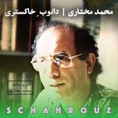 محمد مختاری | دانوب خاکستری