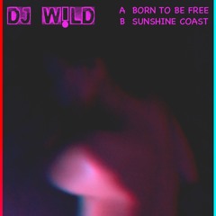 DJ W!LD - BORN TO BE FREE Snipp