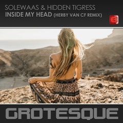 Solewaas & Hidden Tigress - Inside My Head (Herby Van CF Remix) - Preview