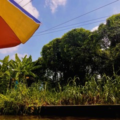 Tree Home