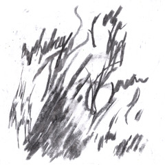 It’s a Beautiful Thing