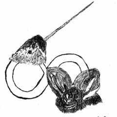 The Sea Unicorn And The Lesser False Vampire (Seed Of Infinity)