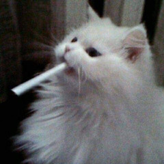 Yarko86 - Воспоминание