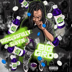 SUCCESSFULLY SERVIN (PRODUCED BY BIG GRO WAVY)
