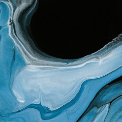 Surfing Dillas (Online Feature 2017)