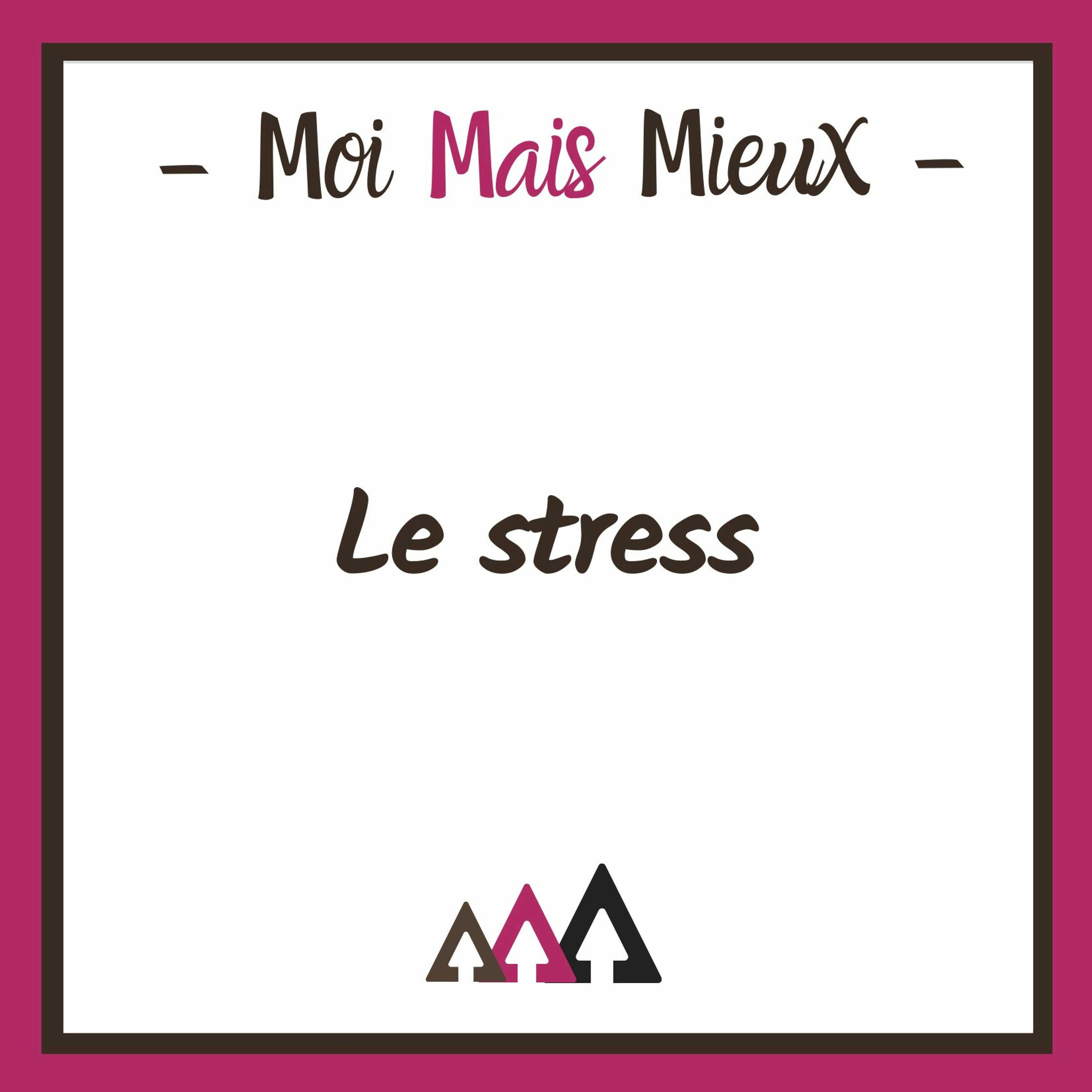 38 - Le Stress