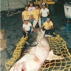 HUNT 01 - Rod & Reel