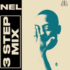 NEL - 3 Step Mix