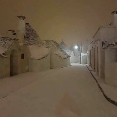 backyard beetle - the desolation of living in darkness and having no roof (prod. guda)