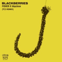 BLACKBERRIES - FISHER & BBYCLOSE (TC3 REMIX) [FREE DOWNLOAD]