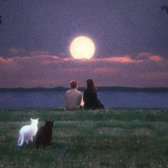 Maybe in another life