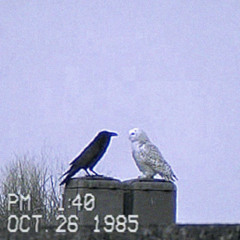 "EMPTY" - BONES Type Beat