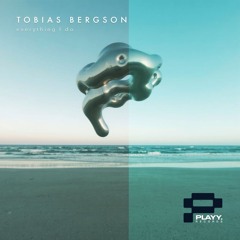 Tobias Bergson - Everything I Do (Radio Edit)