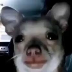 DoThaJerk.V1 (Prod. WelcomeCarson)