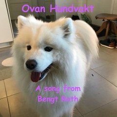 Ovan Hundvakt (Inexperienced dog sitter. Lyrics in English below)