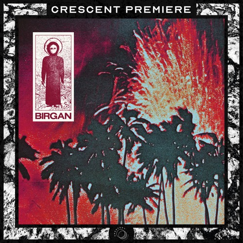 𝗣𝗥𝗘𝗠𝗜𝗘𝗥𝗘 | Birgan - Low End Percussive Holograms [DN018]