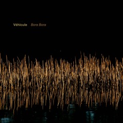 previews. Véhicule - Bora Bora | ROHS!