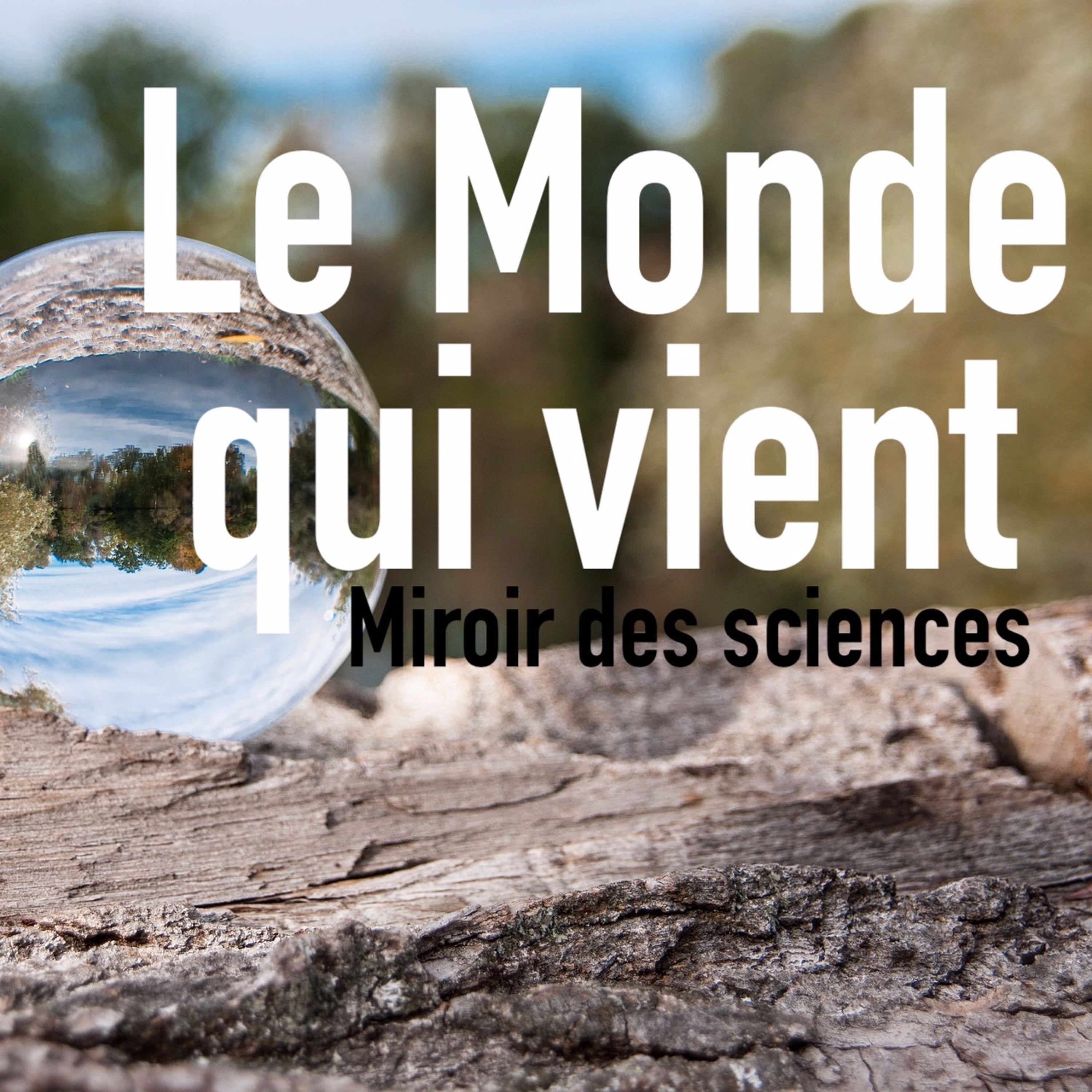 Le Miroir des sciences