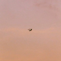 Từ lòng thành phố  da/md