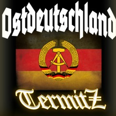 In der DDR - Dj Ossi (TermitZ mix)