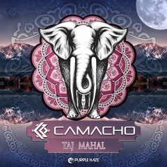 Henrique Camacho - Taj Mahal (185 BPM) FREE DOWNLOAD