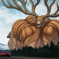 God's Arms