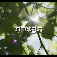 Finding Balance: Emotional Triad (Chesed G'vurah Tiferet)