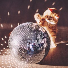 Disco House Cats vol. 1