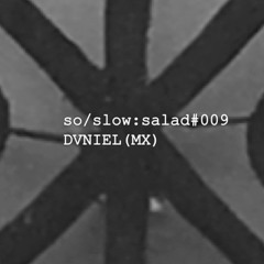 so/slow:salad PODCAST 009 -<< DVNIEL