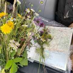 Coming Home / Growing Old (2022)