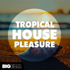 Kygo Style Tropical House Kits, Presets & Drums | Tropical House Pleasure