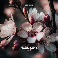 Groovibe - Ficou Sexy (Extended Mix) Deep Insane Records
