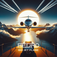 Pedro , Stutta & Rainey C - Big Jet Plane [ Custom ]