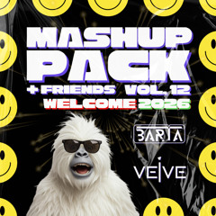 BARTA, VEIVE & Friends Mashup Pack Vol. 12 (Welcome 2026)