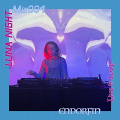 004 Endorfin @ Loop