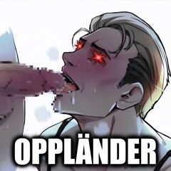 Oppländer