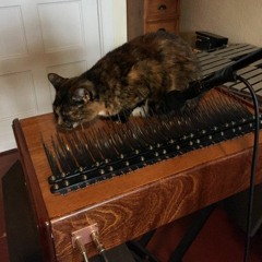 Array Mbira Demo - Johann Sebastian Bach - Cello Suite No. 1 In G Major, BWV 1007 Prelude