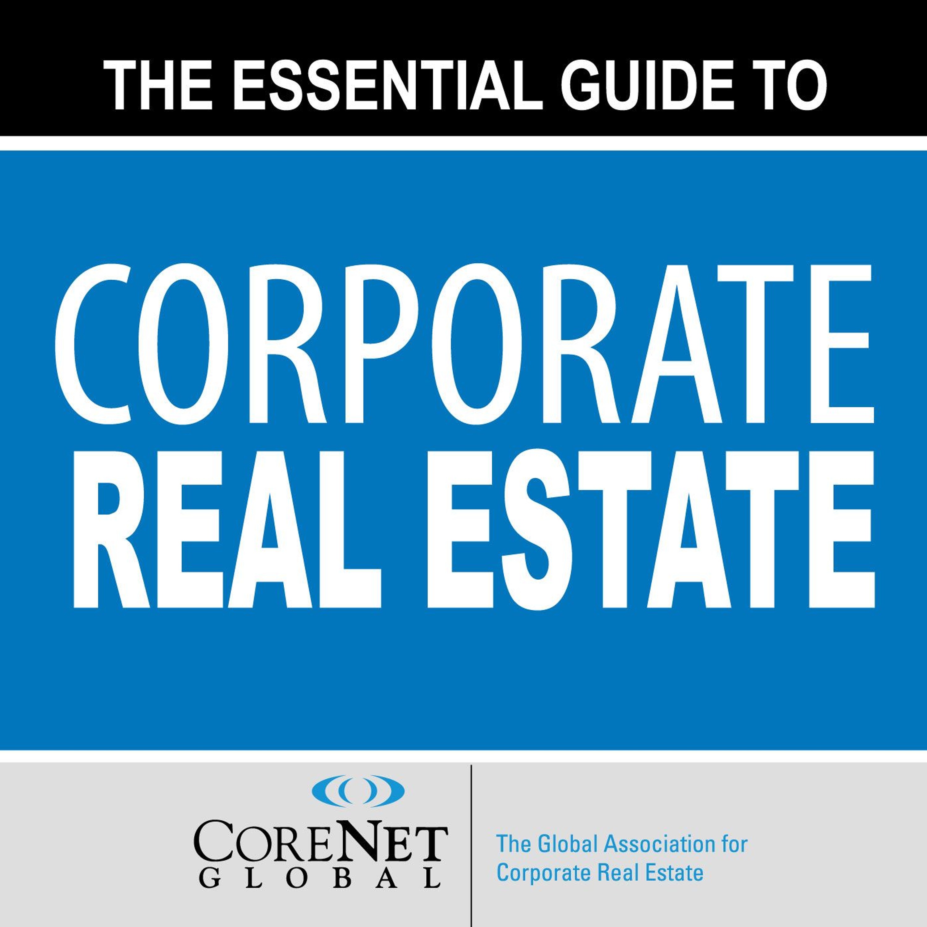 The Essential Guide to Corporate Real Estate: Chapter 9 - Performance Management