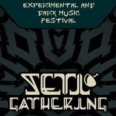 SETI Gathering 2024 - Experimental Psycore DJ Set