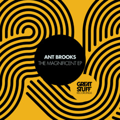Ant Brooks - Mic Check 1,2 [GREAT STUFF]