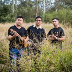 04 SINFONIA SILVESTRE